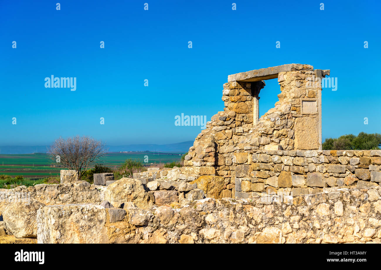 Ruinen von Volubilis, Berber und römische Stadt in Marokko Stockfoto