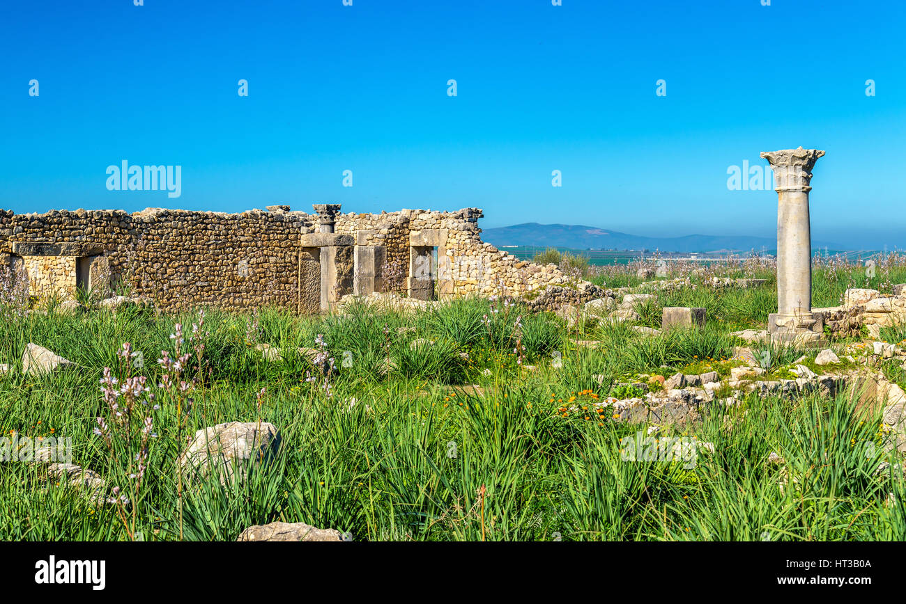 Ruinen von Volubilis, Berber und römische Stadt in Marokko Stockfoto