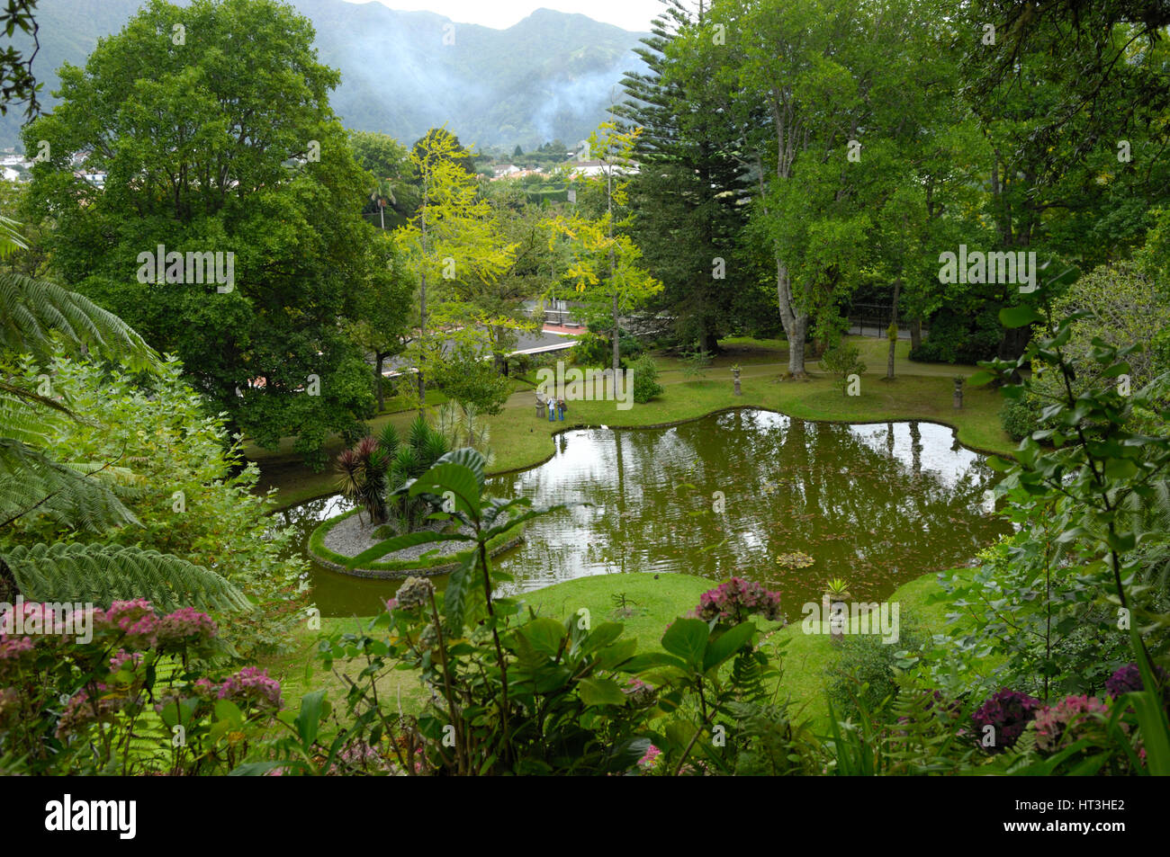 Terra Nostra Botanischer Garten im Tal von Furnas, Insel Sao Miguel, Azoren Stockfoto