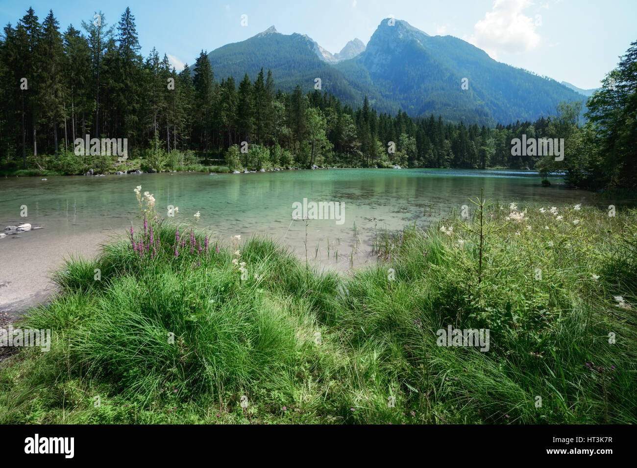 Erstaunlich sonnigen Sommertag auf dem Hintersee See in Österreichische Alpen, Europa. Stockfoto
