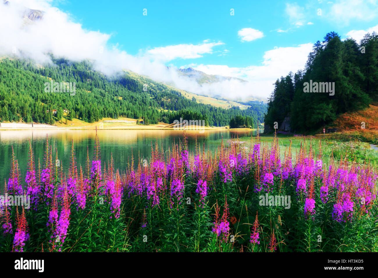 Erstaunliche sonniger Tag am Champferersee See in den Schweizer Alpen. Silvaplana-Dorf, Schweiz, Europa. Stockfoto