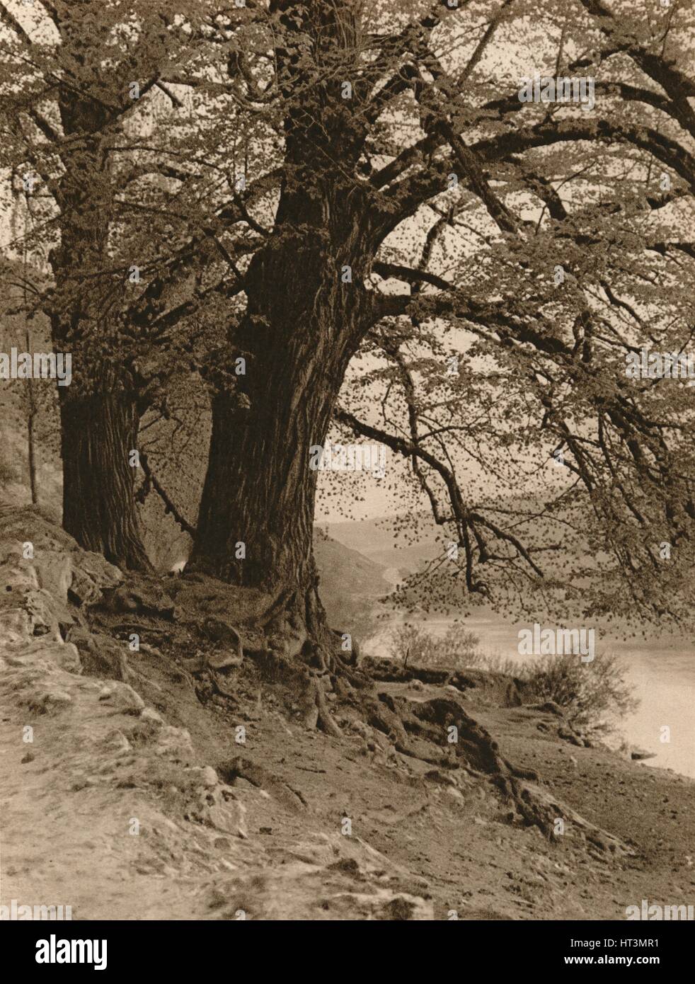 "Im Tal der Nab', 1931. Künstler: Kurt Hielscher. Stockfoto