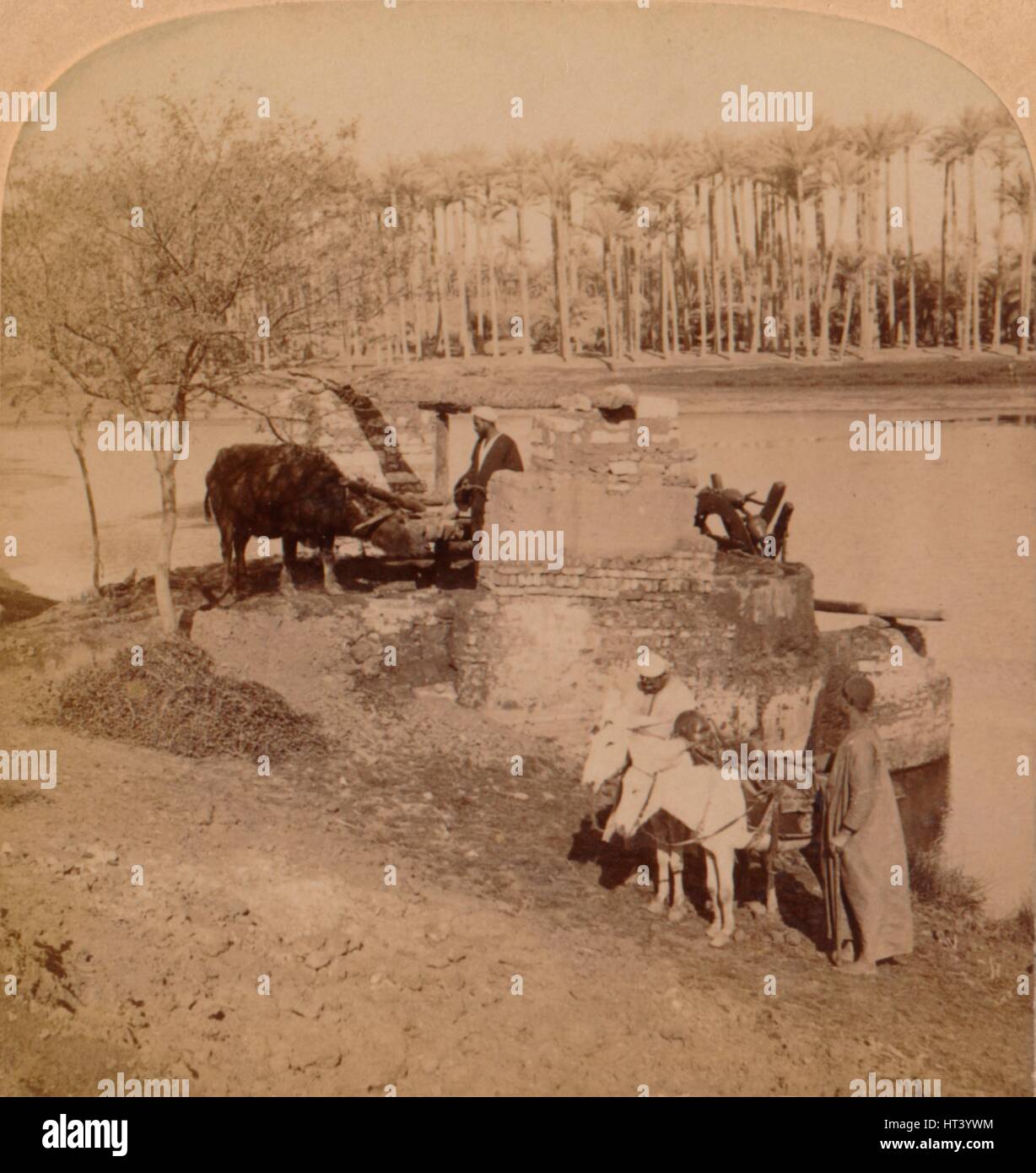 "Eine ägyptische Sakiyeh, Zeichnung Nilwasser für die Bewässerung, Ägypten", 1896. Künstler: unbekannt. Stockfoto