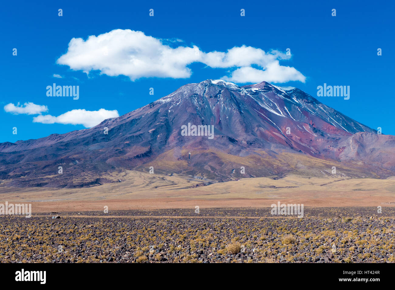 Anden Landschaft, Nord-Chile Stockfoto