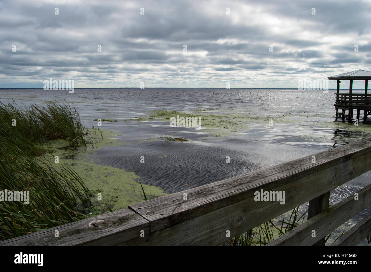 See in Florida Stockfoto