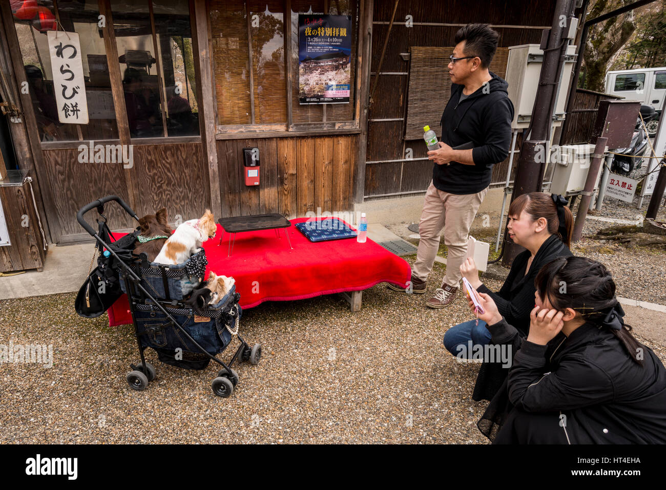 Exzentrische Japanisch mit Hunden in einem Kinderwagen und Fotografieren mit dem Handy Japan Stockfoto