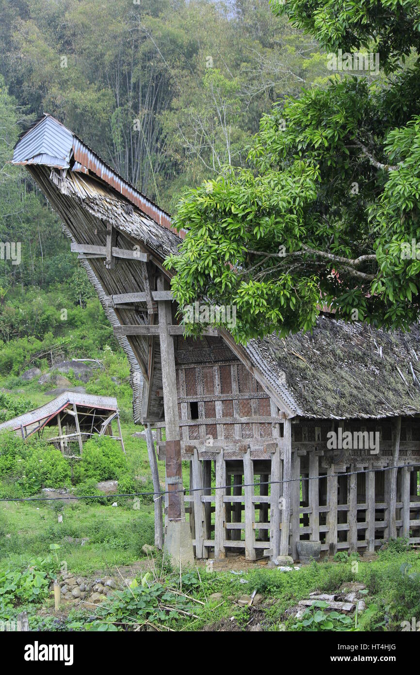 TONGKONAN ist ein traditionelles Haus aus toraja Stockfoto