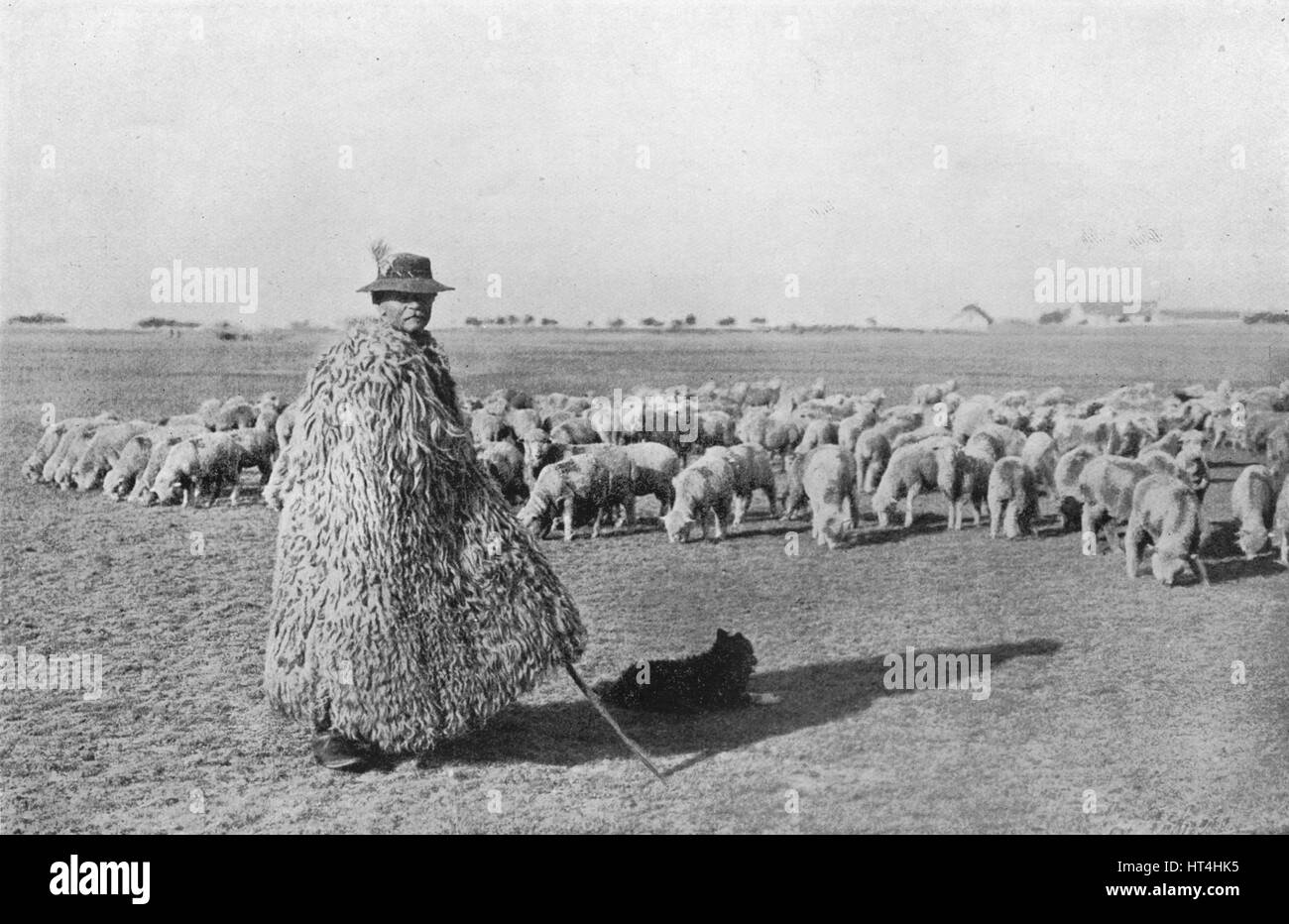 "Ein typisches Schäfer und seiner Herde auf den Ebenen von Ungarn", 1915. Künstler: unbekannt. Stockfoto