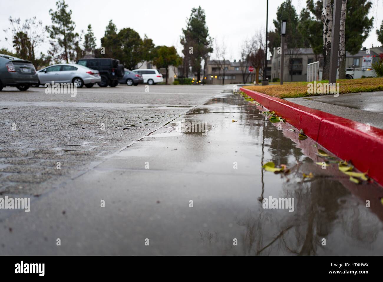 Pool Wasser auf einem Parkplatz in der Nähe von einem rot lackierten Bordstein während einer großen Regensturm in der San Francisco Bay Area, 10. Januar 2017. Anfang 2017, schwere Regen fiel in der Bay Area, führt zu Überschwemmungen und Stromausfällen. Stockfoto