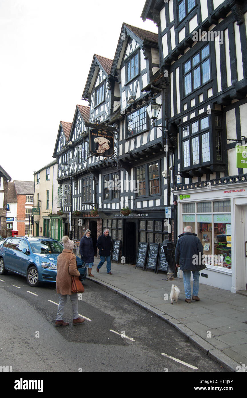 Ludlow Stadt, Burg und die Landschaft Stockfoto