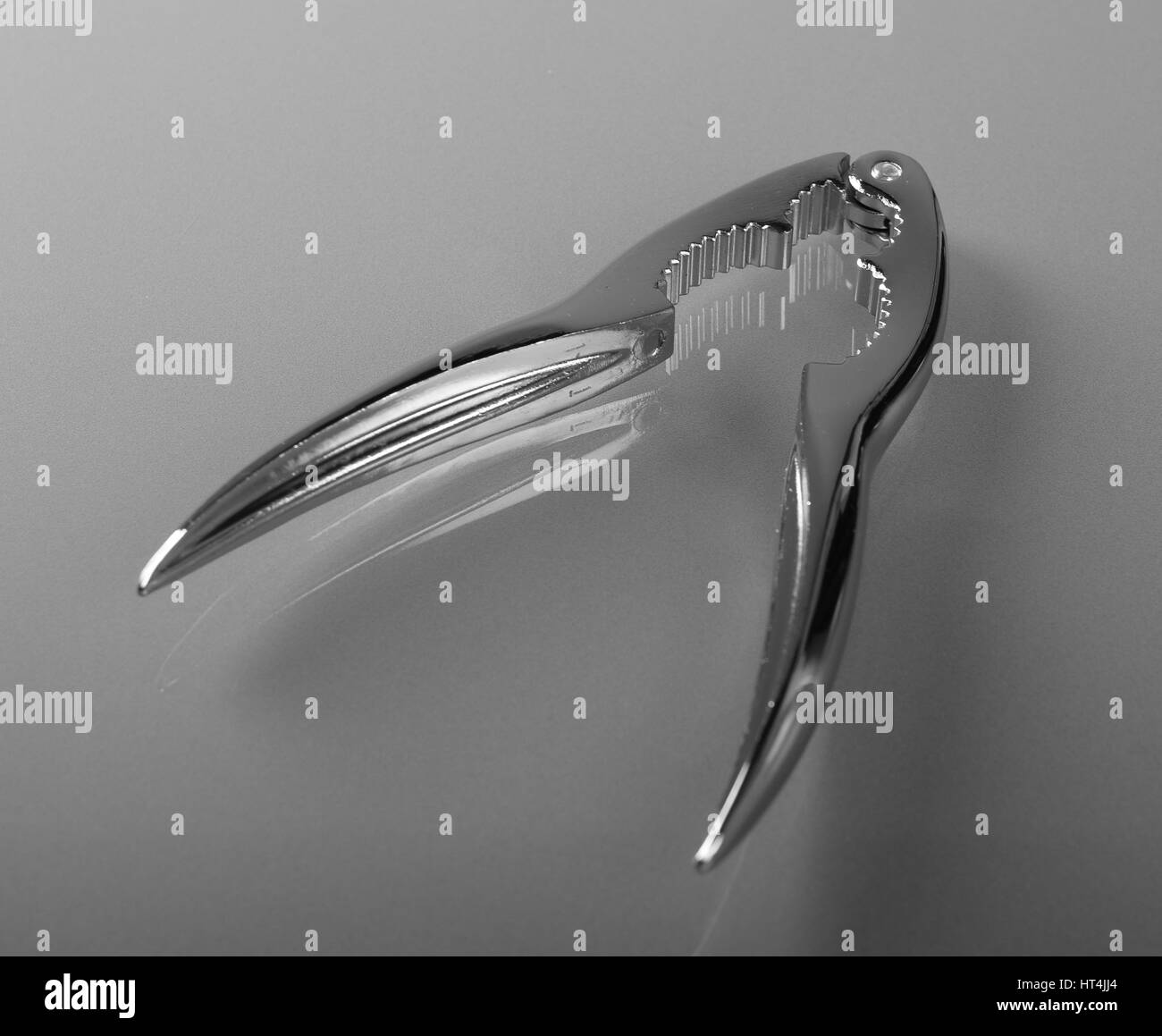 Metal Nussknacker auf Reflexion Hintergrund Stockfoto