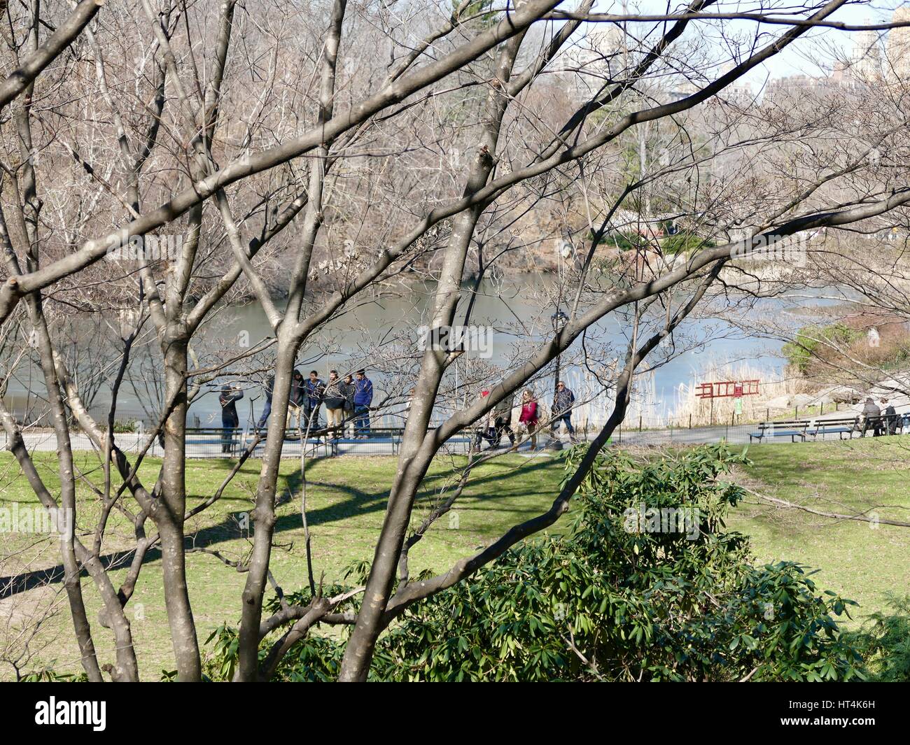 Besucher die Fotos in der Ferne. Der Teich, Central Park, New York City, New York, USA. Stockfoto