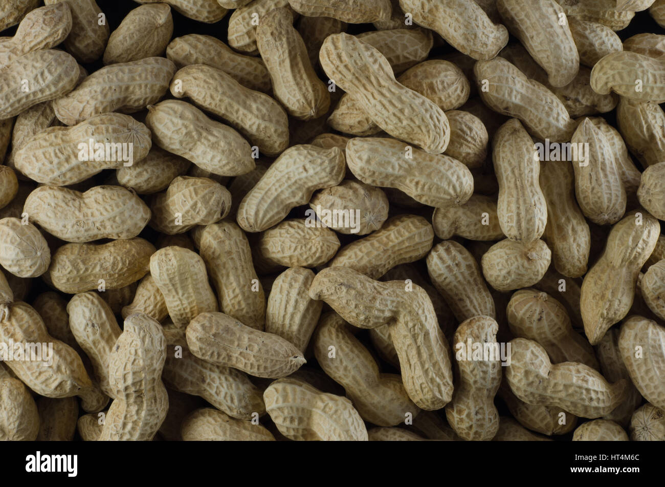 Rohe Erdnüsse in der Schale Stockfoto