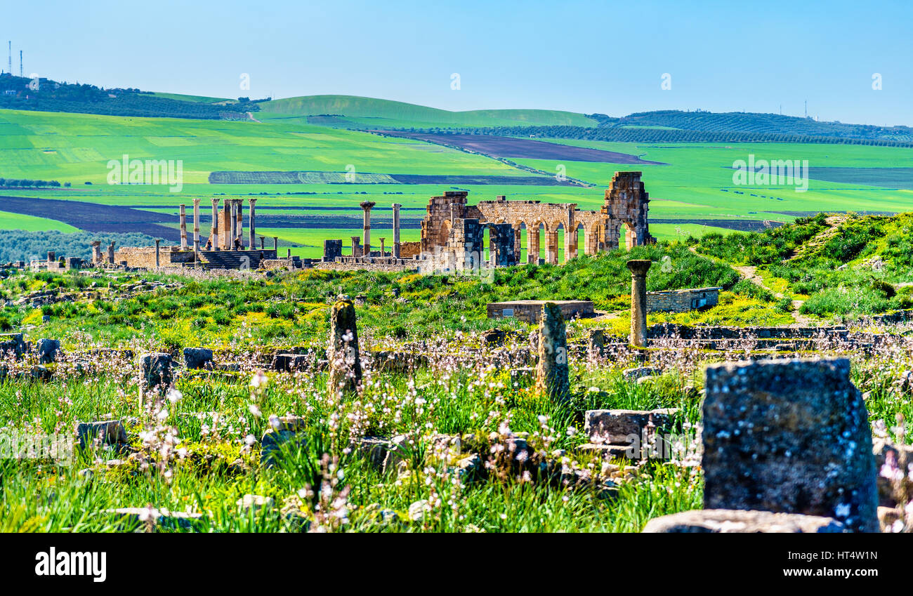 Panorama der antiken Stadt Volubilis, ein UNESCO-Weltkulturerbe in Marokko Stockfoto