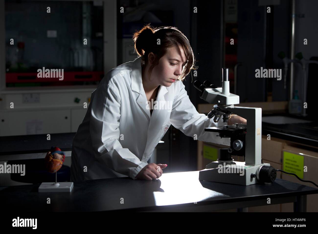 Ein Teenager Schüler während des Unterrichts an einer weiterführenden Schule Wissenschaft Stockfoto