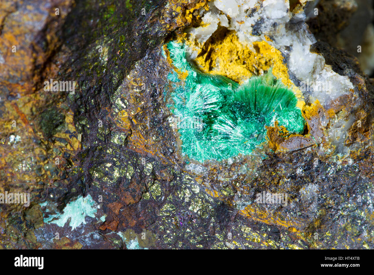 Malachit (Kupfer-Carbonat) Kristalle ausstrahlen. Der Eaglebrook Mine, Ceredigion, Wales. Stockfoto