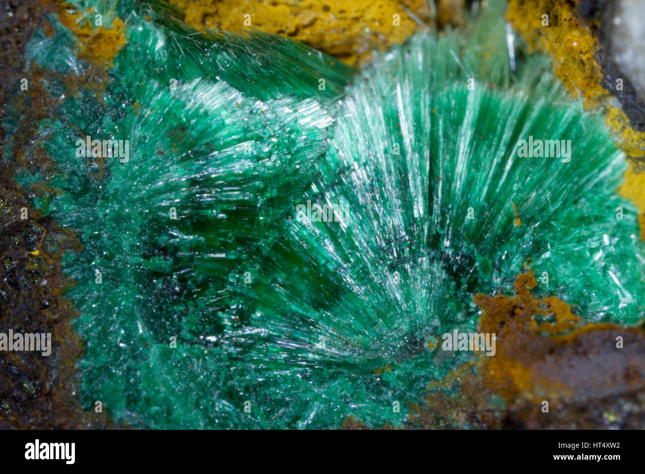 Malachit (Kupfer-Carbonat) Kristalle ausstrahlen. Der Eaglebrook Mine, Ceredigion, Wales. VEREINIGTES KÖNIGREICH. Stockfoto