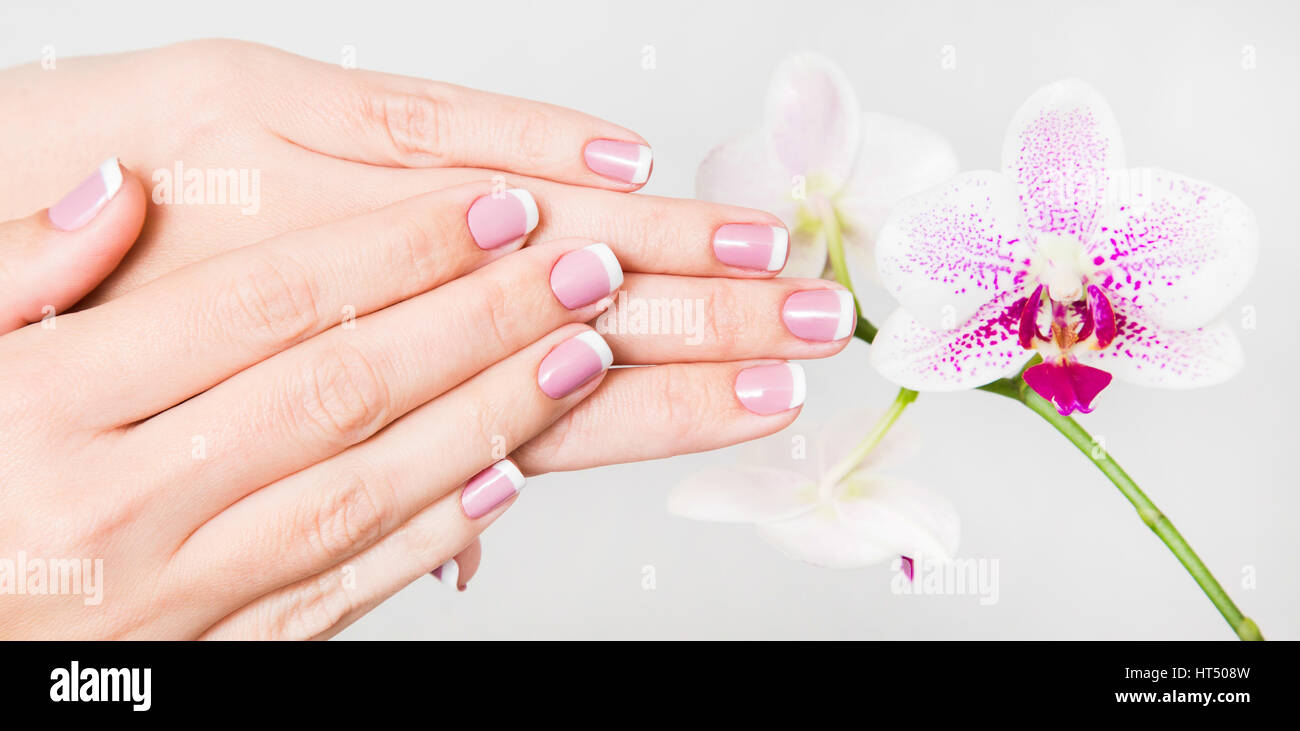 Nahaufnahme der weiblichen Hände und Finger manikürt. Fingernägel mit französischen Frühling Maniküre in der Nähe von Zweig der Orchideenblüten isoliert auf weißem Hintergrund. Stockfoto
