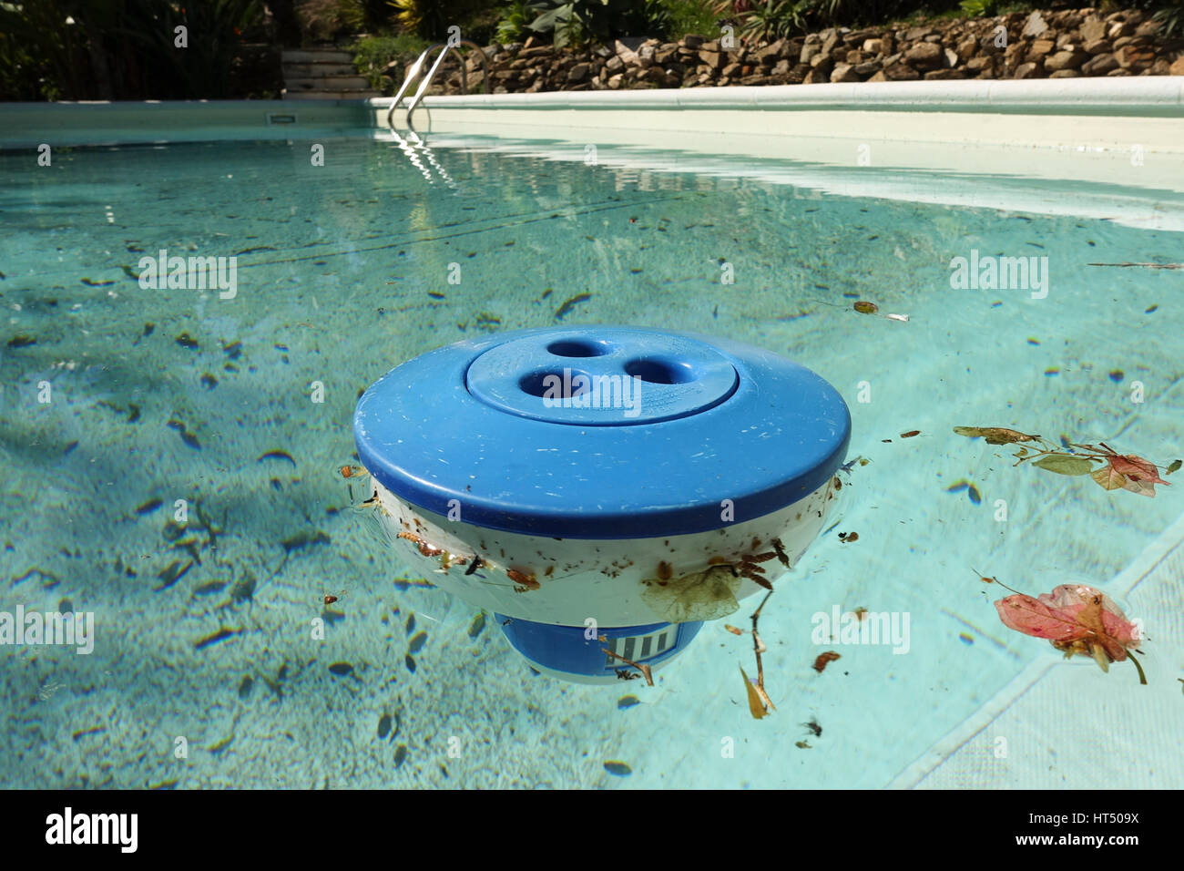 Chlor-Container in schmutzigen Schwimmbad, Kunststoff, Blätter schweben. Stockfoto