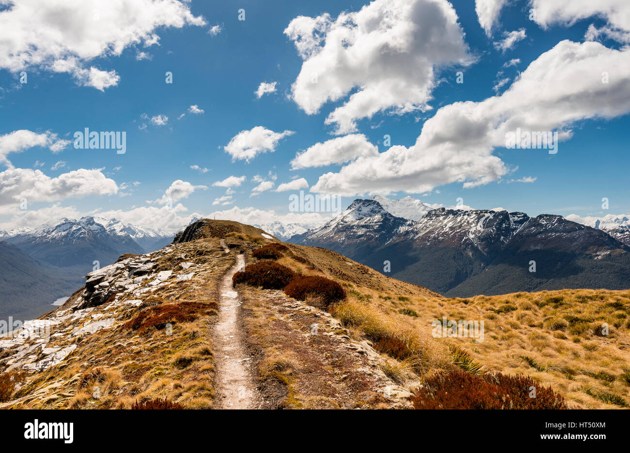 Wanderweg, Mount Alfred, Glenorchy in Queenstown, Südalpen, Otago und Southland, Neuseeland Stockfoto