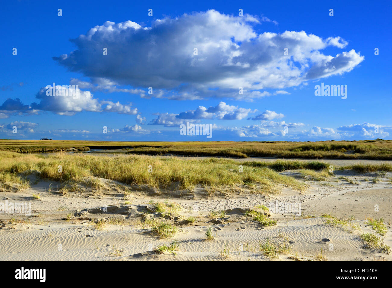 Dünen vor Salzwiesen mit blauen Himmel und Cumulus Wolken, Sankt Peter-Ording, Schleswig-Holstein-Nationalpark Wattenmeer Stockfoto