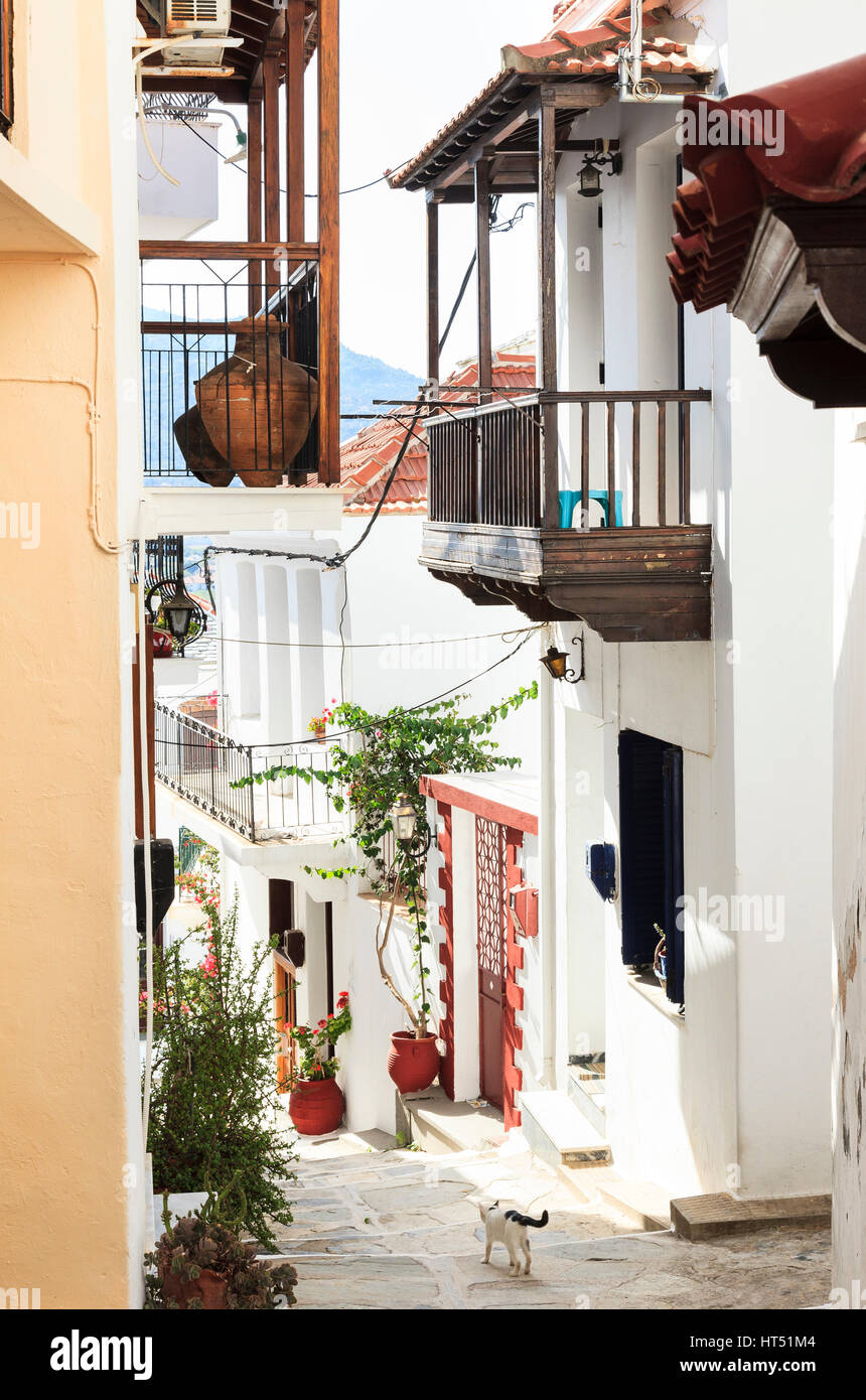 Schmale weiße Washed Straße, Skopelos Stadt Skopelos, Griechenland Stockfoto
