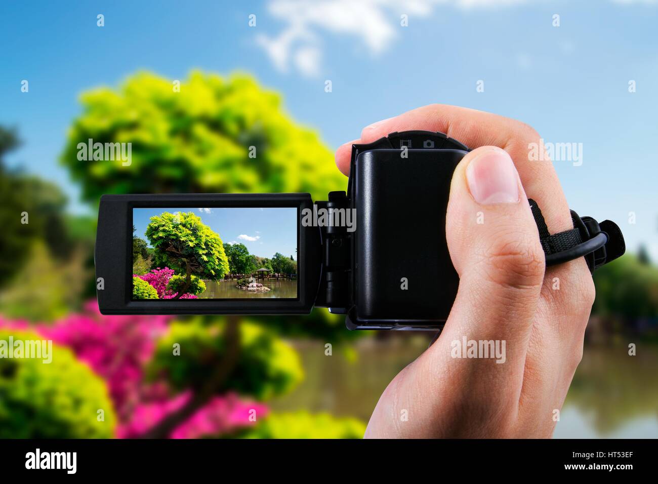 Video-Kamera oder Camcorder Aufnahme Flora im japanischen Garten Stockfoto