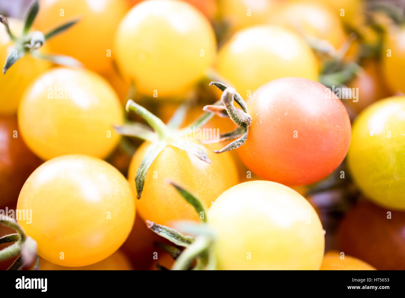 Kleine Tomaten, gelbe und rote Farbe hautnah, und Makro. Stockfoto