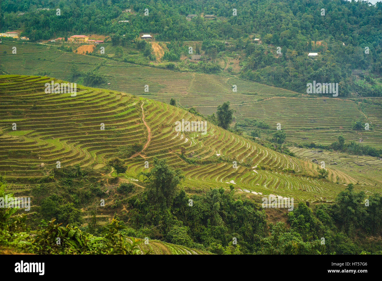 Wunderschönen Reisterrassen in den Bergen von Sapa Region in Vietnam Stockfoto