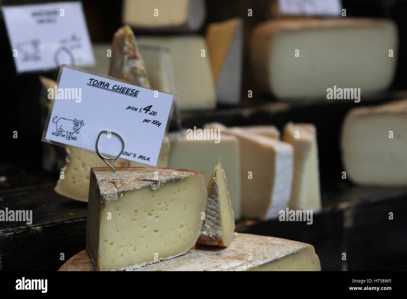 Toma italienische Käseauswahl in Keile in den Regalen angeordnet. Stockfoto