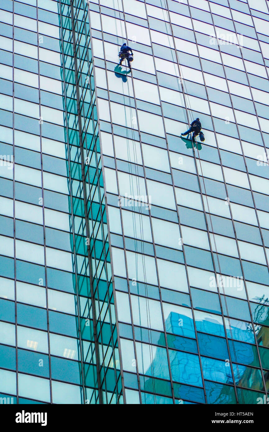 Wirklichen Leben Spiderman wäscht die Fenster an der Seite eines Gebäudes auf LaSalle Street in Chicago, Illinois Stockfoto