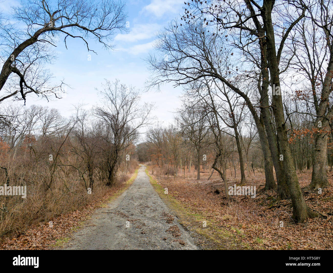 Wiederherstellung von Lebensräumen auf der rechten Seite der Straße. Woods Country Lane, Cook County, Illinois. Stockfoto