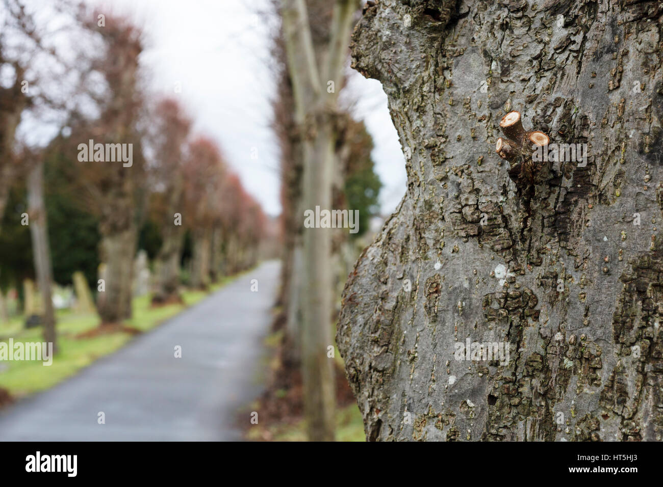 High Wycombe Friedhof Stockfoto