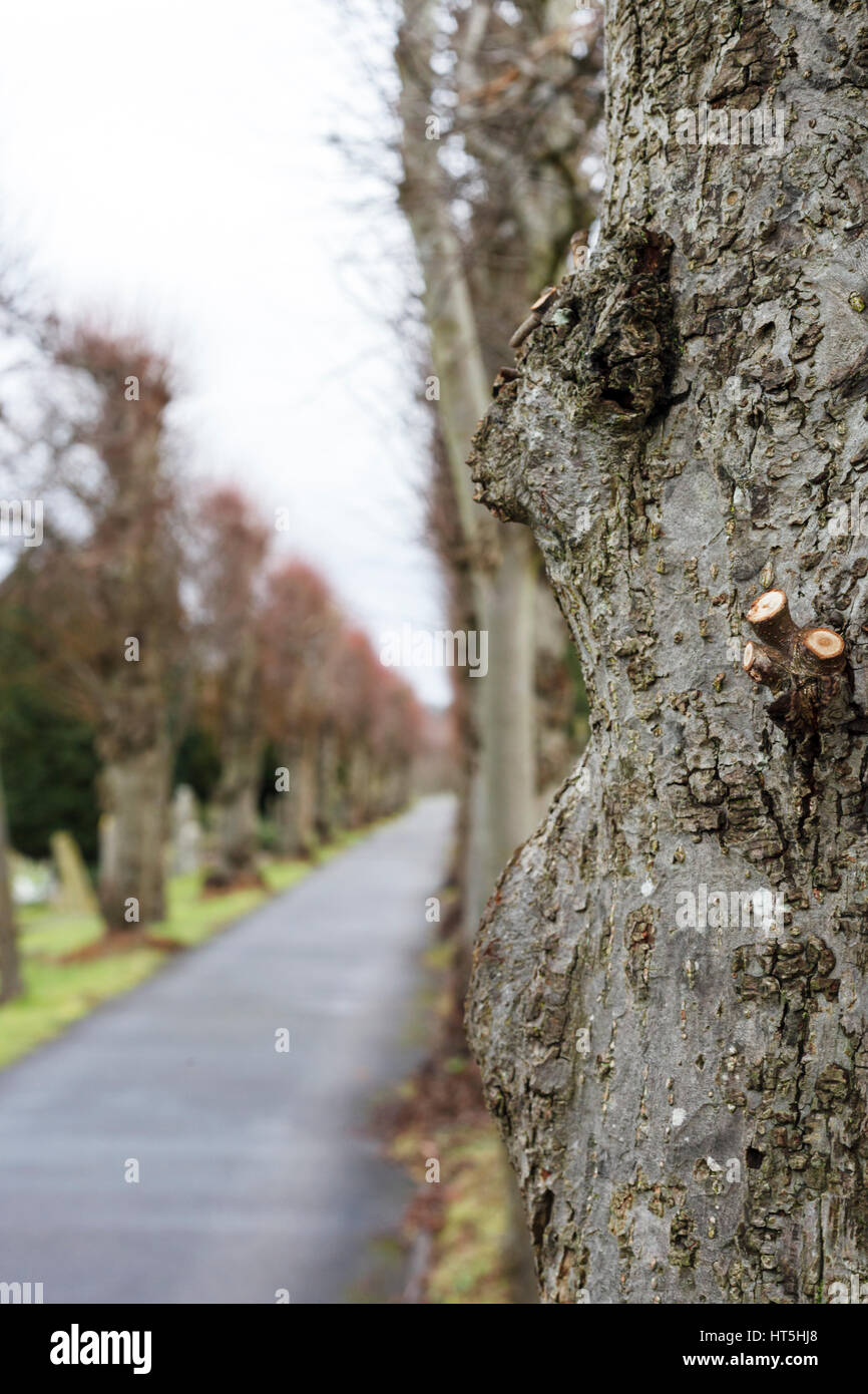 High Wycombe Friedhof Stockfoto