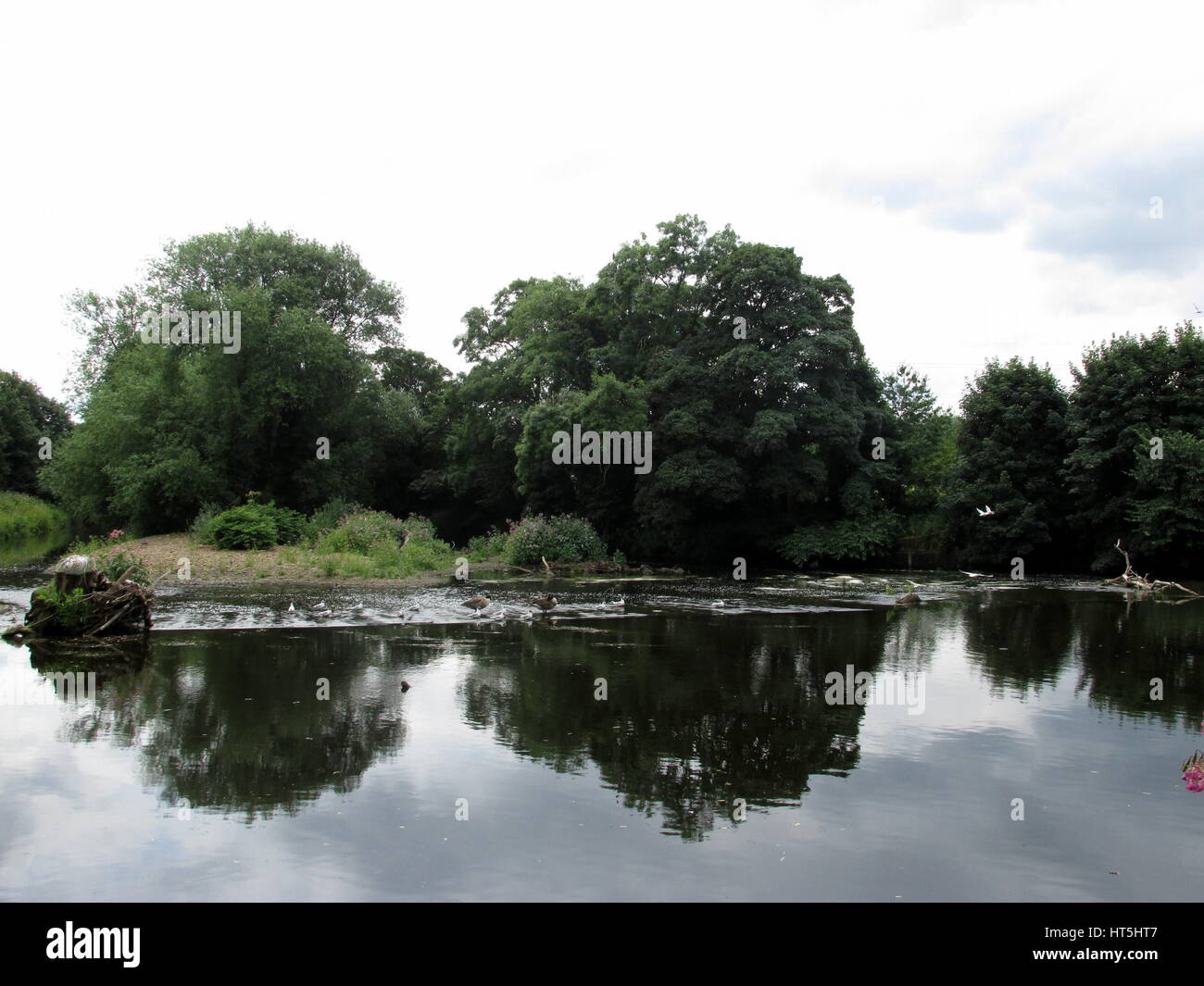 Thje Fluss Aire neben Kirkstall Abbey, LEEDS Stockfoto