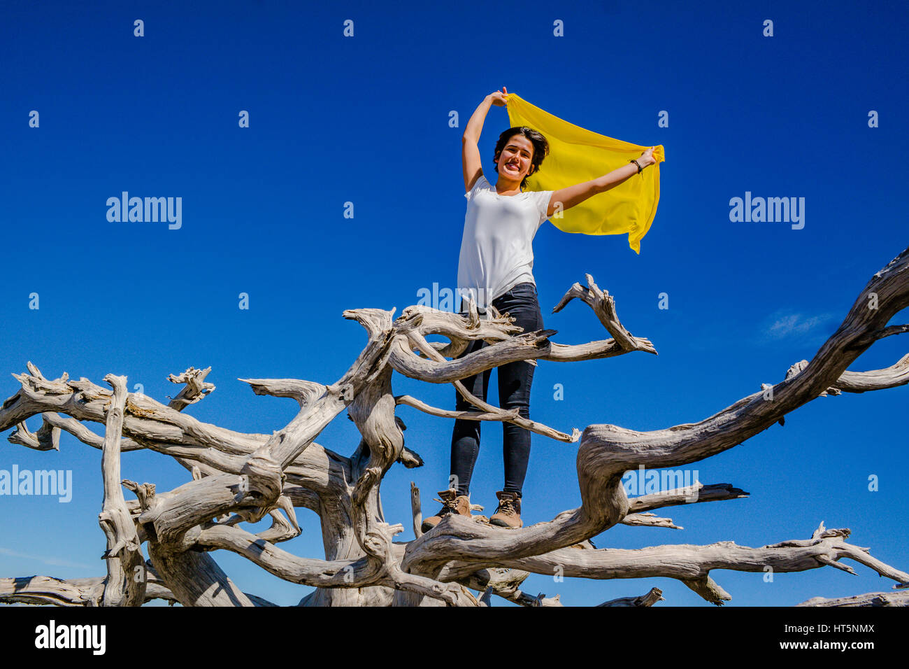 gelbe Pareo Schal Mädchen auf einem toten Baum posiert unter blauem Himmel Stockfoto