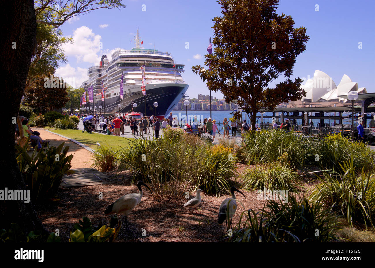 Ms Queen Victoria am Circular Quay Sydney Australien günstig Stockfoto