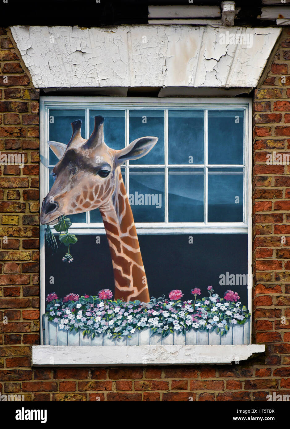 Giraffe und Fenster-Box mit Blumen. Trompe-l ' œil gemalt Fenster. Knaresborough, High Street, North Yorkshire, England, Vereinigtes Königreich, Europa. Stockfoto