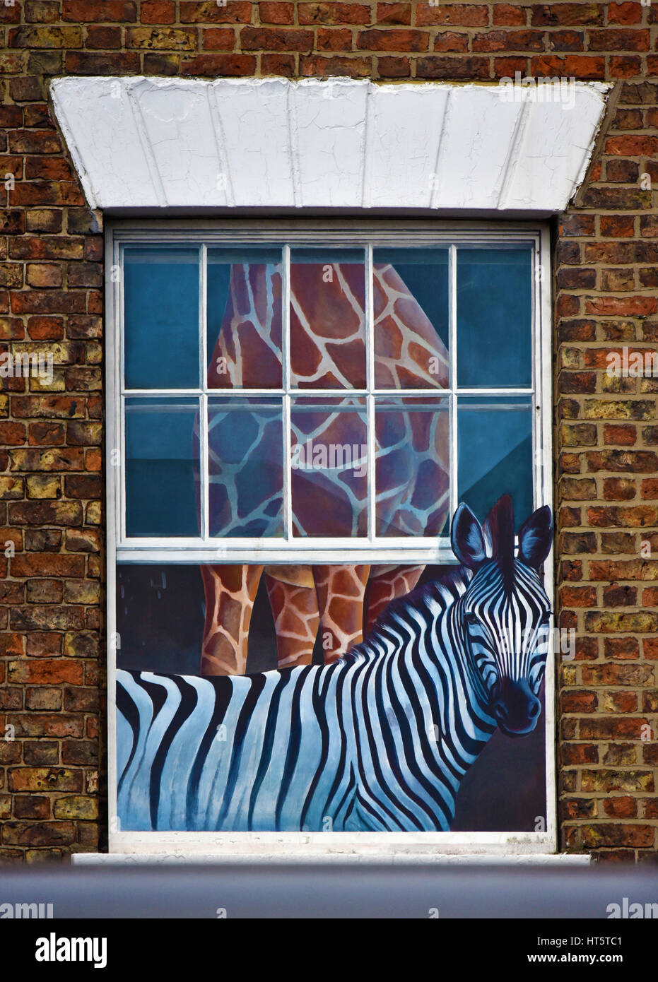 Zebra und Giraffe. Trompe-l ' œil gemalt Fenster. Knaresborough, High Street, North Yorkshire, England, Vereinigtes Königreich, Europa. Stockfoto