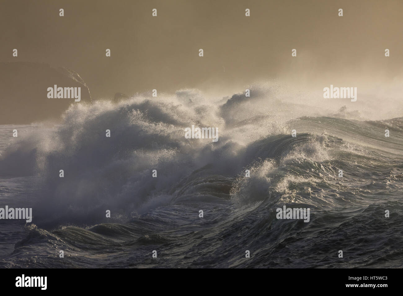 Breaking Waves in Waimea Bay bei einem großen Winter anschwellen. Stockfoto