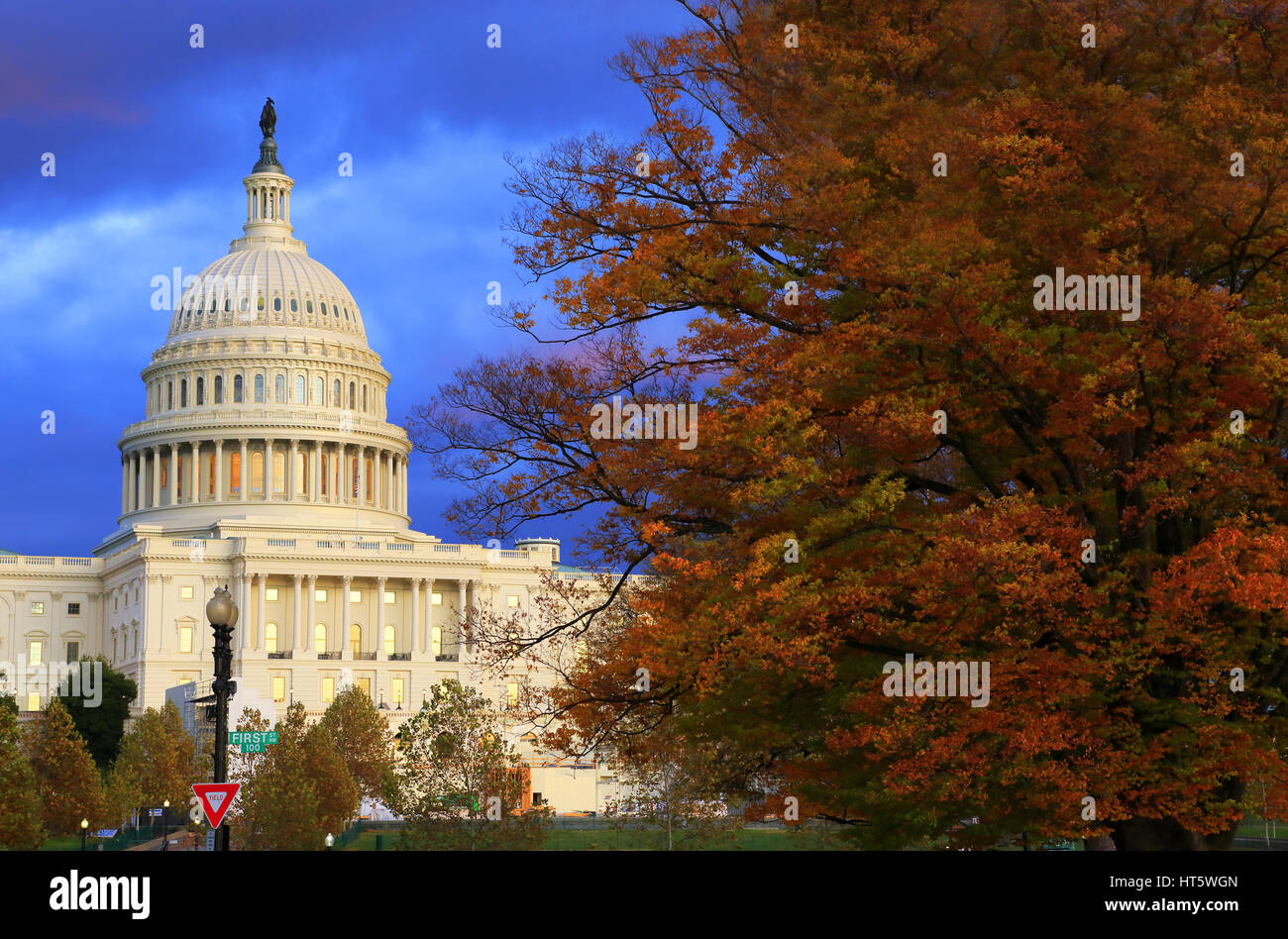 US Capitol Gebäude mit Baum im Herbst Farbe in Capitol Hill. Washington DC. USA Stockfoto