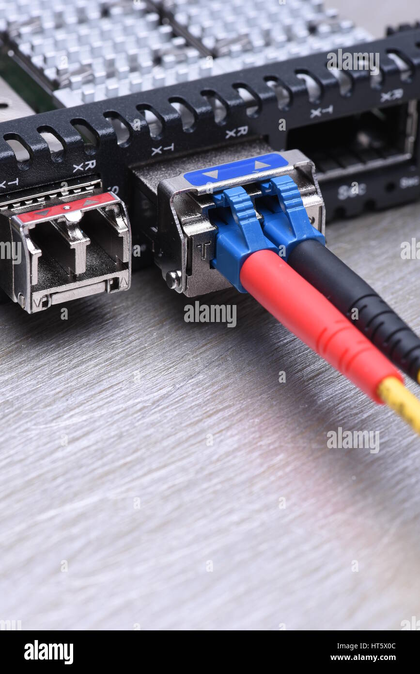 Internet der Dinge LWL Patchkabel mit Gbic Closeup, Informations-und Telekommunikationstechnologie Stockfoto