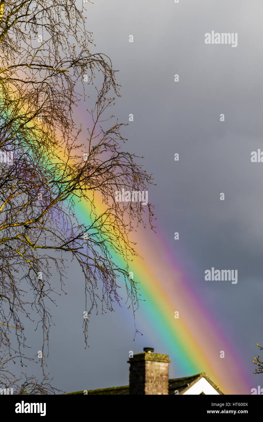 Regenbogen Stockfoto