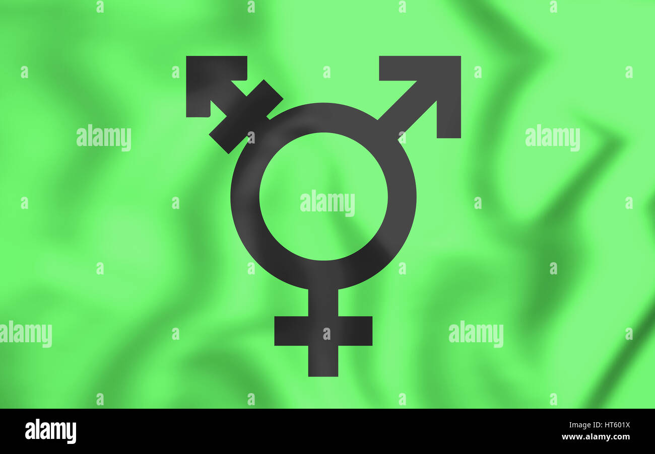 Israelische Transgender Flagge. 3D Illustration. Ansicht von vorne. Stockfoto