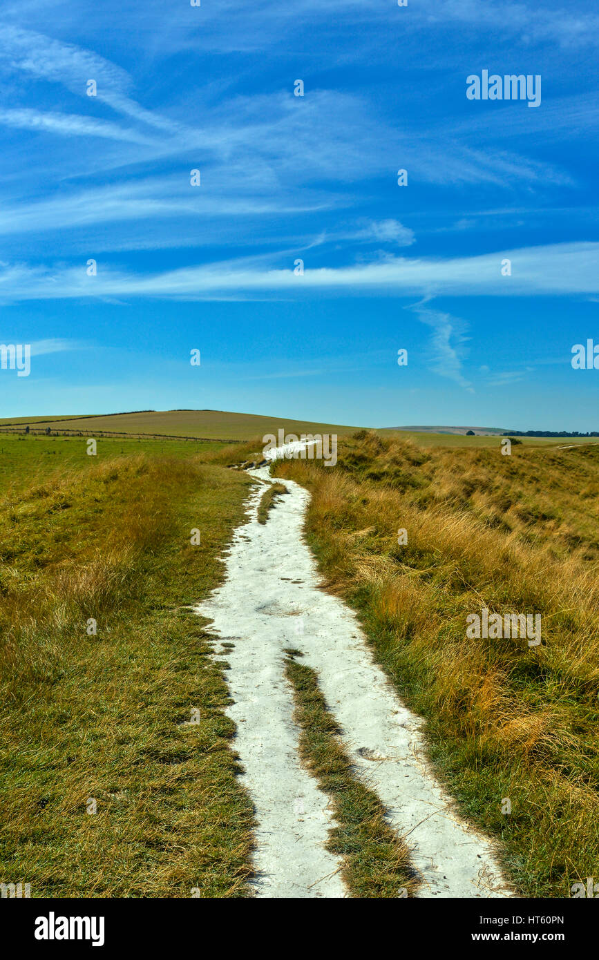 Eine Portraitansicht eines kurvenreichen Chalkweges, der zum Horizont führt, Großbritannien Stockfoto