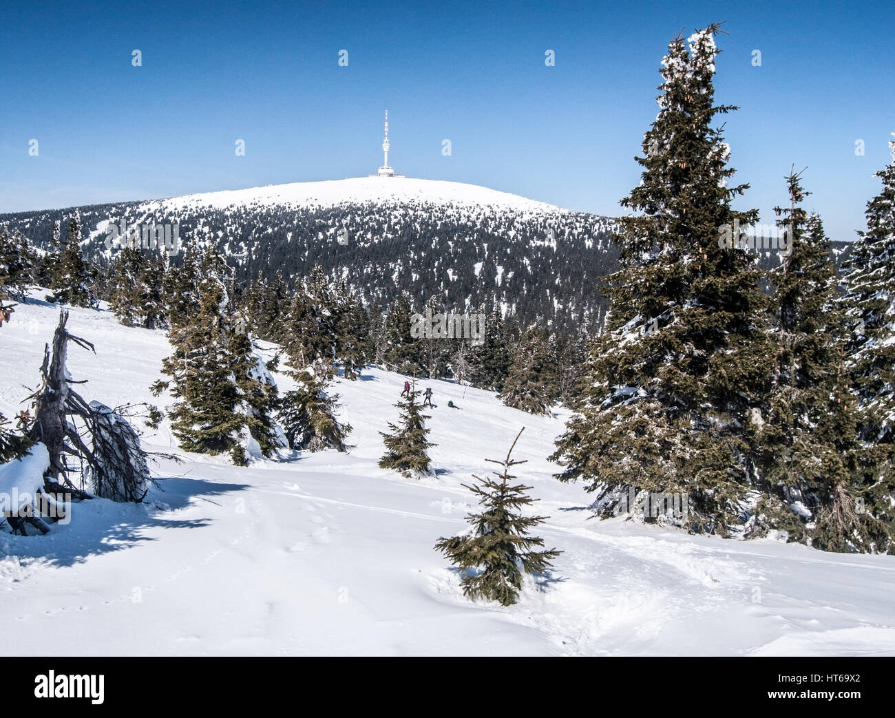 Praded Hill im Winter Gesenke in der Tschechischen Republik mit Schnee und klarer Himmel Stockfoto
