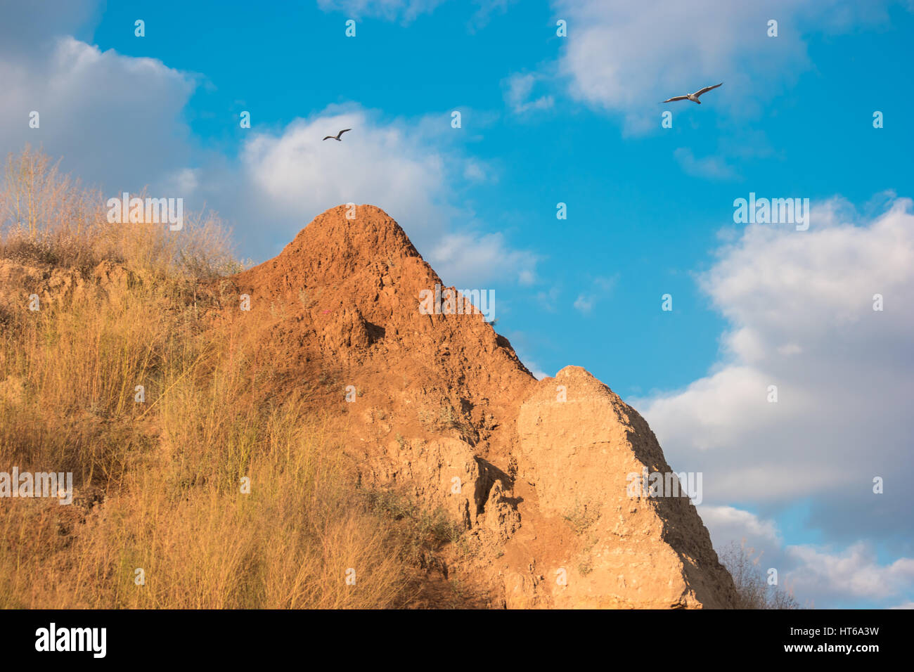 Vögel fliegen in der Nähe von Berg. Rock und blauen Wolkenhimmel. Spüren Sie die Freiheit. Migration von Möwen. Stockfoto