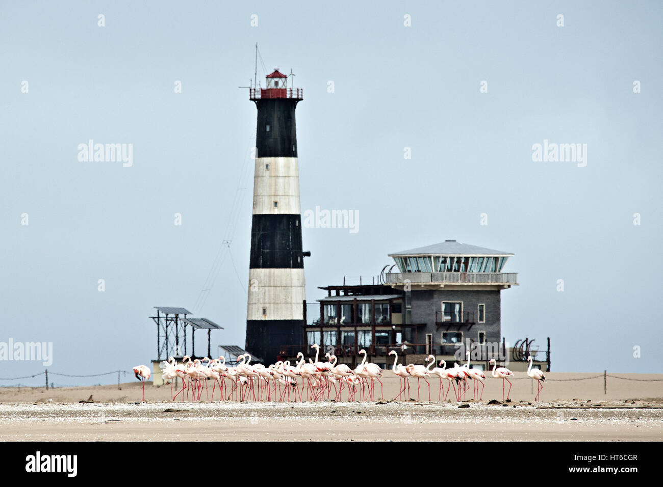 Flamingos auf dem Sand vor dem Pelican Point Leuchtturm in Walvis Bay. Stockfoto