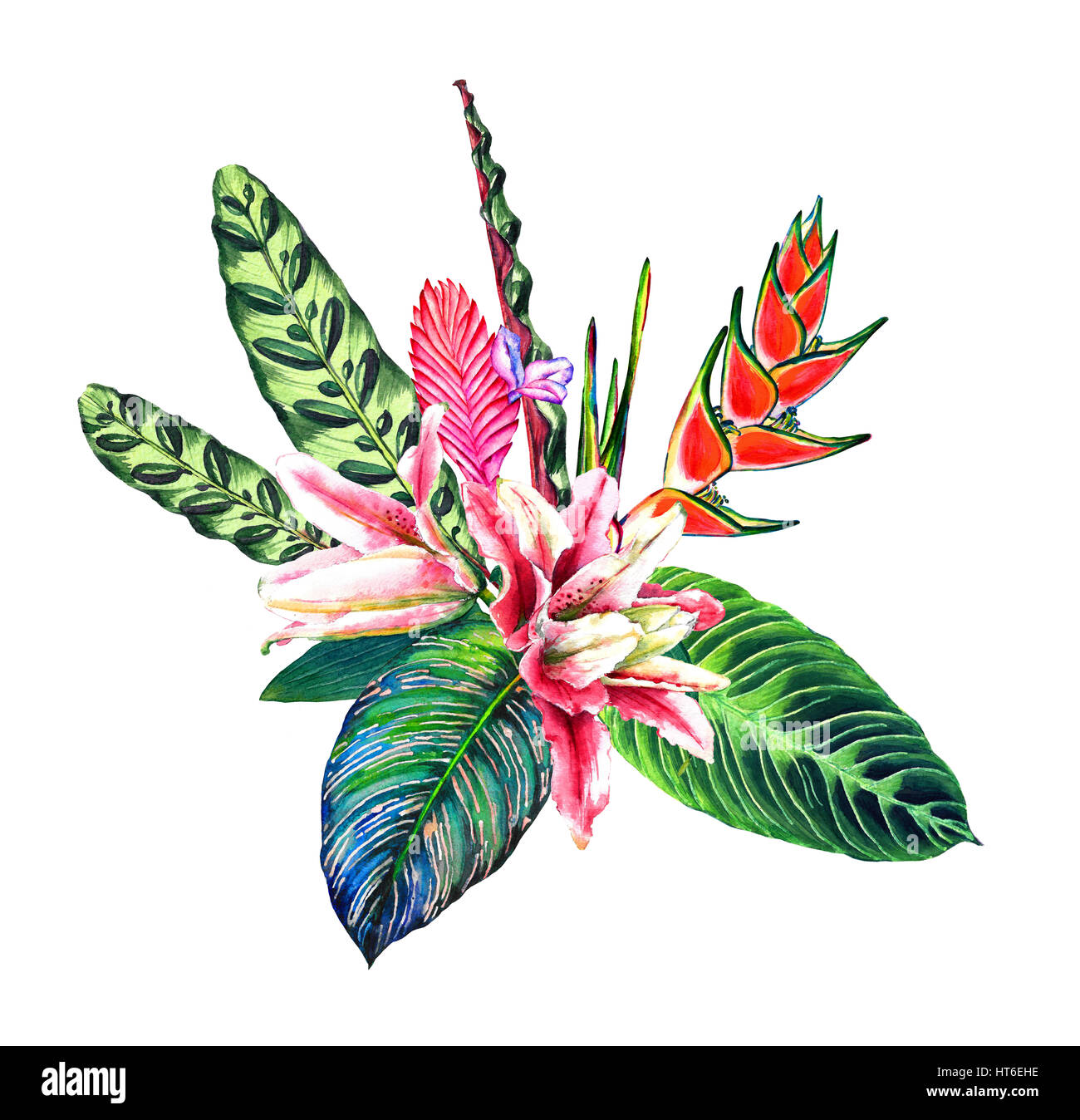 Tropische Bouquet. Exotische Blumen, Blätter Regenwald. Handgemachte Aquarell, isoliert auf weißem Hintergrund. Florale Komposition für Ihr Design. Vorlage Stockfoto