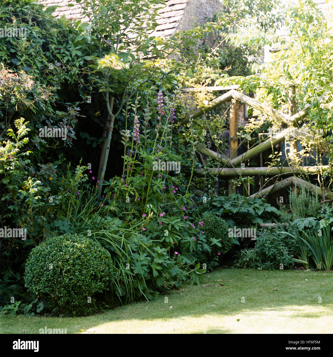 Holzzaun im Garten. Stockfoto